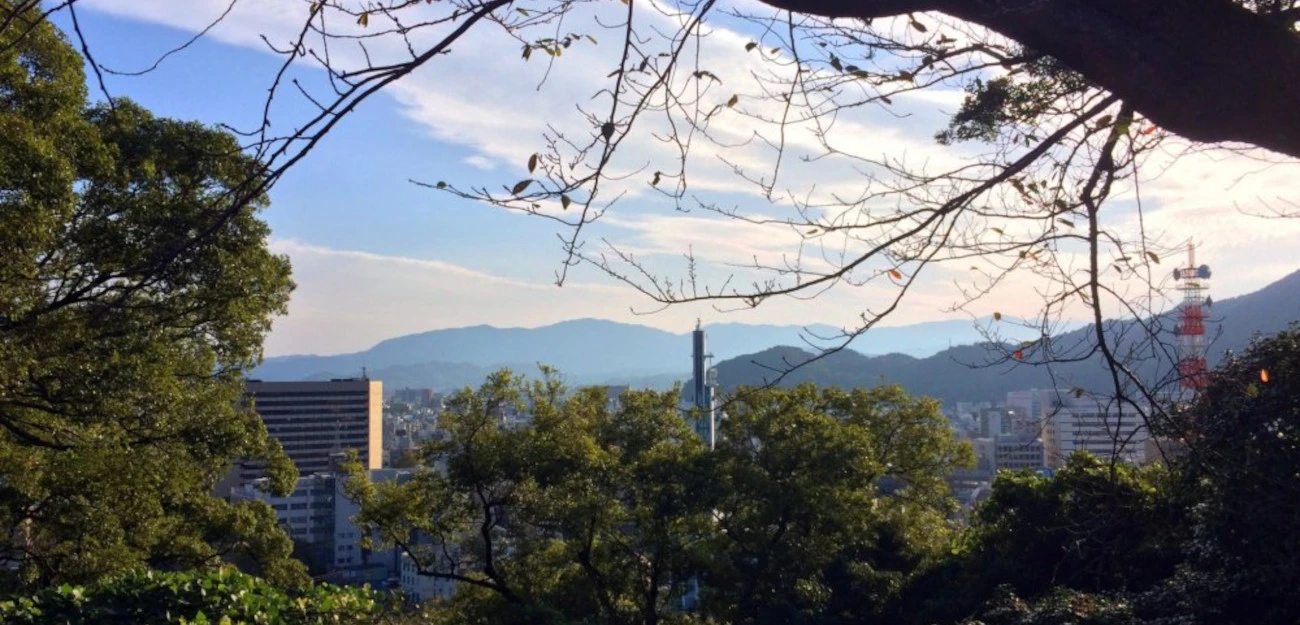 徳島市街の眺め